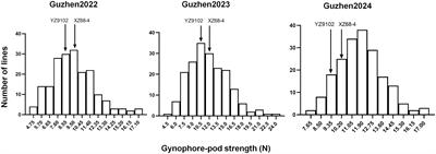 Integrating QTL mapping and transcriptome analysis to provide molecular insights into gynophore-pod strength in cultivated peanut (Arachis hypogaea L.)